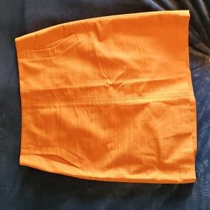 Ann Taylor Factory Skirt